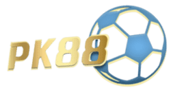 how do u play sudoku
